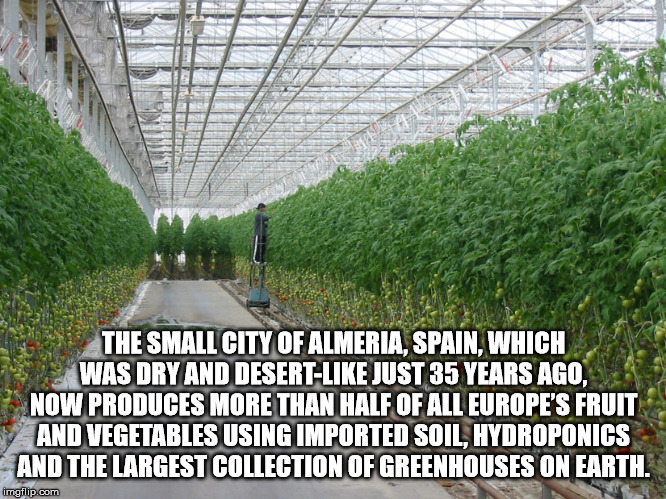 greenhouse - The Small City Of Almeria, Spain, Which Was Dry And Desert Just 35 Years Ago. Now Produces More Than Half Of All Europe'S Fruit And Vegetables Using Imported Soil, Hydroponics And The Largest Collection Of Greenhouses On Earth.. imgflip.com