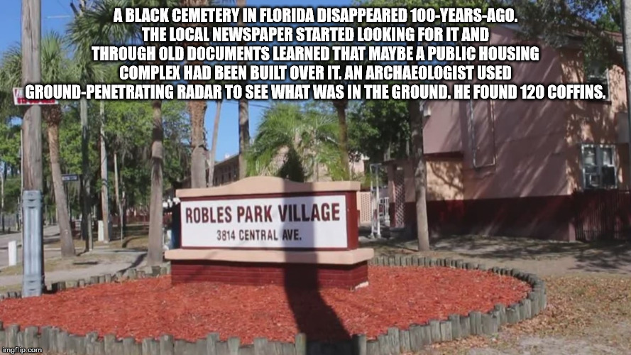 tree - A Black Cemetery In Florida Disappeared 100YearsAgo. The Local Newspaper Started Looking For It And Through Old Documents Learned That Maybe A Public Housing Complex Had Been Built Over It. An Archaeologistused GroundPenetrating Radar To See What W