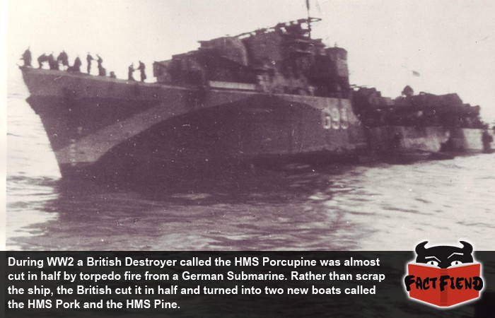 does superman hide his identity - During WW2 a British Destroyer called the Hms Porcupine was almost cut in half by torpedo fire from a German Submarine. Rather than scrap the ship, the British cut it in half and turned into two new boats called the Hms P