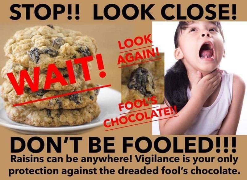 raisins fools chocolate - Stop!! Look Close! Look Againt Fools Chocolate! Don'T Be Fooled!!! Raisins can be anywhere! Vigilance is your only protection against the dreaded fool's chocolate.