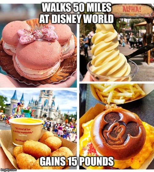 disneyworld food - Walks 50 Miles Alha! At Disney World sind often Gains 15 Pounds imgflip.com