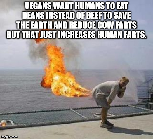 heat - Vegans Want Humans To Eat Beans Instead Of Beef To Save The Earth And Reduce Cow Farts But That Just Increases Human Farts. imgflip.com