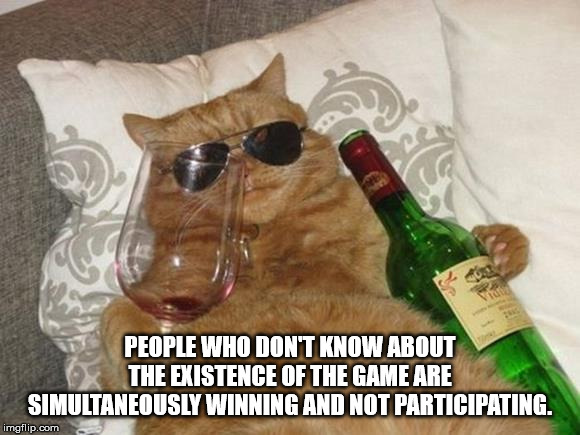 drunk cat with sunglasses - People Who Don'T Know About The Existence Of The Game Are Simultaneously Winning And Not Participating. imgflip.com