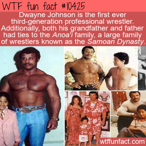 rocky johnson ata maivia - Wtf fun fact Dwayne Johnson is the first ever thirdgeneration professional wrestler. Additionally, both his grandfather and father had ties to the Anoa'i family, a large family of wrestlers known as the Samoan Dynasty. wtffunfac