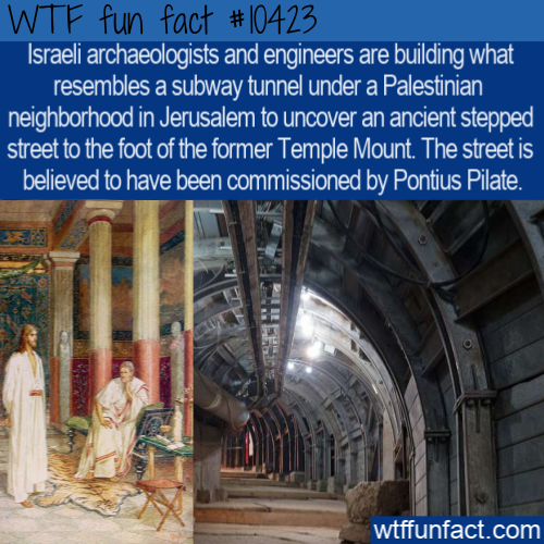 landmark - Wtf fun fact Israeli archaeologists and engineers are building what resembles a subway tunnel under a Palestinian neighborhood in Jerusalem to uncover an ancient stepped, street to the foot of the former Temple Mount. The street is believed to 