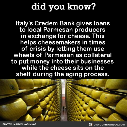 hall and oates hotline - did you know? 'Italy's Credem Bank gives loans to local Parmesan producers in exchange for cheese. This helps cheesemakers in times of crisis by letting them use wheels of Parmesan as collateral to put money into their businesses 