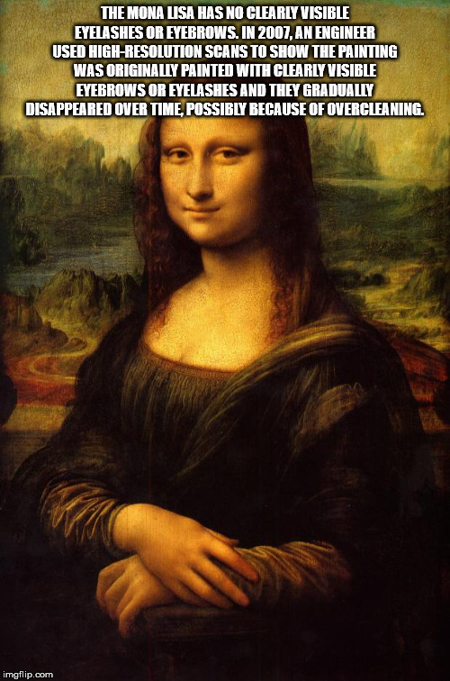 mona lisa - The Mona Lisa Has No Clearly Visible Eyelashes Or Eyebrows. In 2007. An Engineer Used HighResolution Scans To Show The Painting Was Originally Painted With Clearly Visible Eyebrows Or Eyelashes And They Gradually Disappeared Over Time Possibly