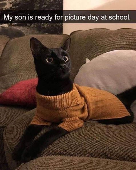 black cat snapchat - My son is ready for picture day at school.