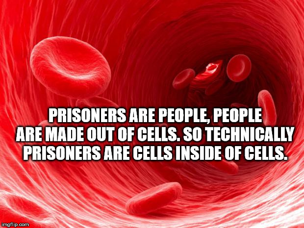 love - Prisoners Are People, People Are Made Out Of Cells. So Technically Prisoners Are Cells Inside Of Cells. imgflip.com