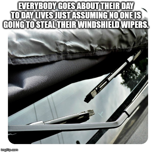 table flip meme - Everybody Goes About Their Day To Day Lives Just Assuming No One Is Going To Steal Their Windshield Wipers. Imail.com