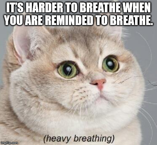 breathing intensifies - It'S Harder To Breathe When You Are Reminded To Breathe. heavy breathing mgflip.com