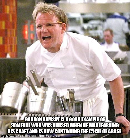 its raw gordon ramsay - T Gordon Ramsay Is A Good Example Of Someone Who Was Abused When He Was Learning His Craft And Is Now Continuing The Cycle Of Abuse mgflip.com Fox EverettRex Features