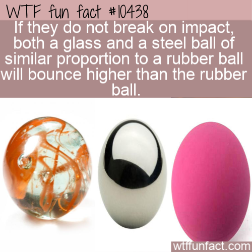 egg - Wtf fun fact If they do not break on impact, both a glass and a steel ball of similar proportion to a rubber ball will bounce higher than the rubber ball wtffunfact.com