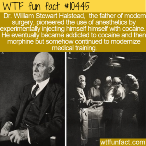 dr william stewart halsted - Wtf fun fact Dr. William Stewart Halstead, the father of modern surgery, pioneered the use of anesthetics by experimentally injecting himself himself with cocaine. He eventually became addicted to cocaine and then morphine but