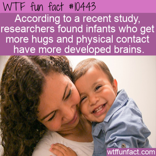 friendship - Wtf fun fact According to a recent study, researchers found infants who get more hugs and physical contact have more developed brains. wtffunfact.com