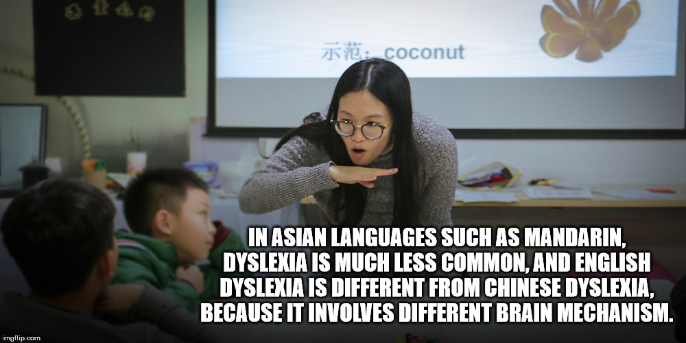 new england patriots - A coconut In Asian Languages Such As Mandarin, Dyslexia Is Much Less Common, And English Dyslexia Is Different From Chinese Dyslexia, Because It Involves Different Brain Mechanism. imgflip.com