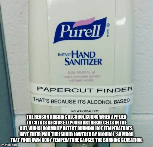 purell hand sanitizer dispenser - Purell Instant Hand Sanitizer Kills 99.99% of most common terms without water Papercut Finder That'S Because Its Alcohol Based No Way, Really?? The Reason Rubbing Alcohol Burns When Appued To Cuts Is Because Exposed VR1 N