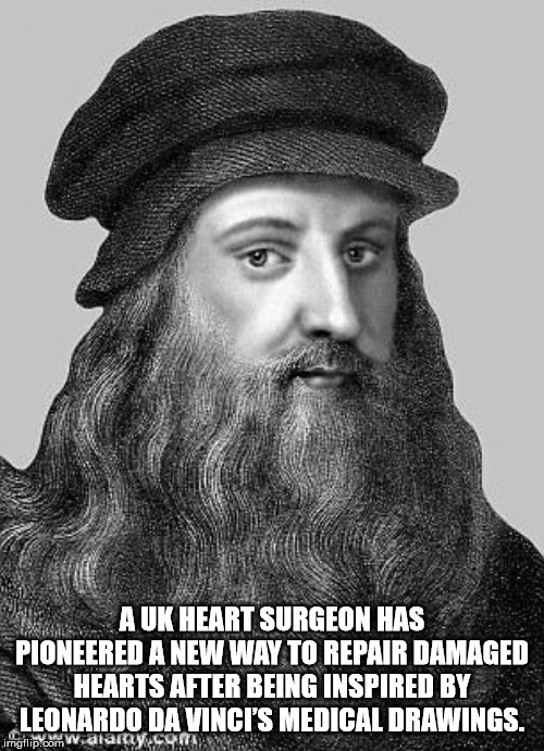 Auk Heart Surgeon Has Pioneered A New Way To Repair Damaged Hearts After Being Inspired By Leonardo Da Vinci'S Medical Drawings. mollipoom w.alamy.com