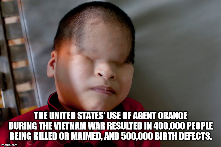 agent orange - The United States' Use Of Agent Orange During The Vietnam War Resulted In 400,000 People Being Killed Or Maimed, And 500,000 Birth Defects. imgflip.com