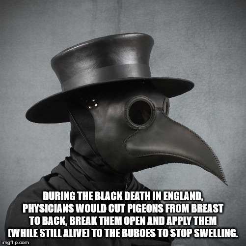 good intentions axe murderer - During The Black Death In England. Physicians Would Cut Pigeons From Breast To Back, Break Them Open And Apply Them While Still Alive To The Buboes To Stop Swelling. imgflip.com