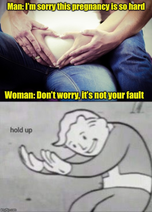 Man I'm sorry this pregnancy is so hard Woman Don't worry, it's not your fault hold up Imgflip.com