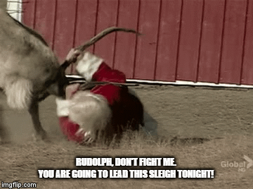 goats gif christmas - Rudolpel, Dont Aght Me You Are Going To Leadthis Stegh Tonight! Global imgflip.com