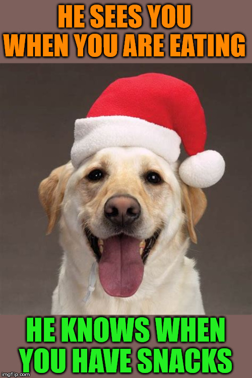 santa claus dog - He Sees You When You Are Eating He Knows Wheni You Have Snacks imgflip.com