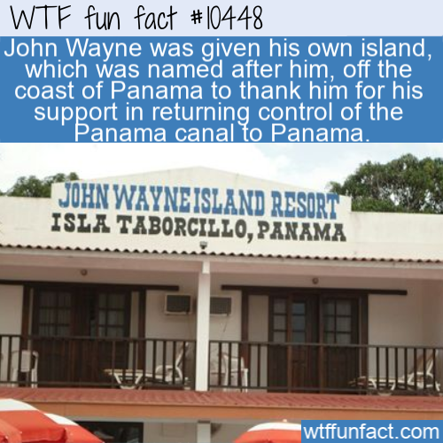 roof - Wtf fun fact John Wayne was given his own island, which was named after him, off the coast of Panama to thank him for his support in returning control of the Panama canal to Panama. John Wayneisland Resort Isla Taborcillo, Panama wtffunfact.com