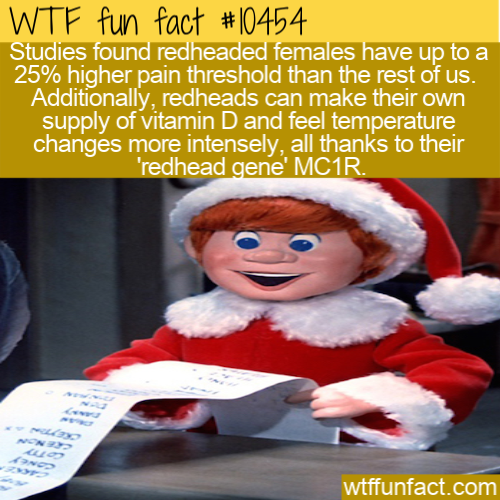 fictional character - Wtf fun fact Studies found redheaded females have up to a 25% higher pain threshold than the rest of us. Additionally, redheads can make their own supply of vitamin D and feel temperature changes more intensely, all thanks to their '