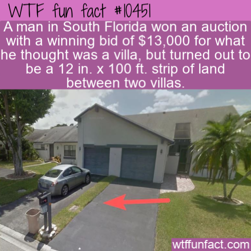 florida man buys land - Wtf fun fact | A man in South Florida won an auction with a winning bid of $13,000 for what he thought was a villa, but turned out to be a 12 in. x 100 ft. strip of land between two villas. wtffunfact.com