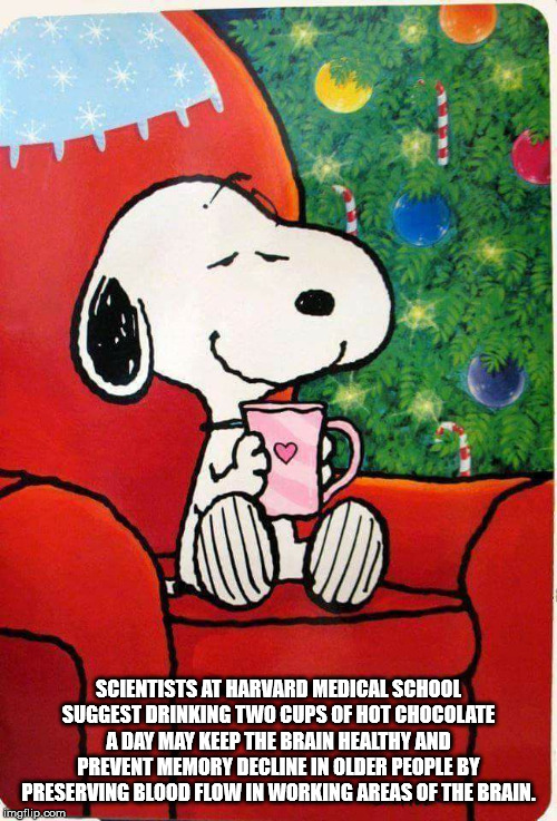 snoopy wednesday christmas - Scientists At Harvard Medical School Suggest Drinking Two Cups Of Hot Chocolate A Day May Keep The Brain Healthy And Prevent Memory Decline In Older People By Preserving Blood Flow In Working Areas Of The Brain. imgflip.com