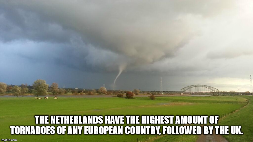 success kid meme - The Netherlands Have The Highest Amount Of Tornadoes Of Any European Country, ed By The Uk. imgflip.com