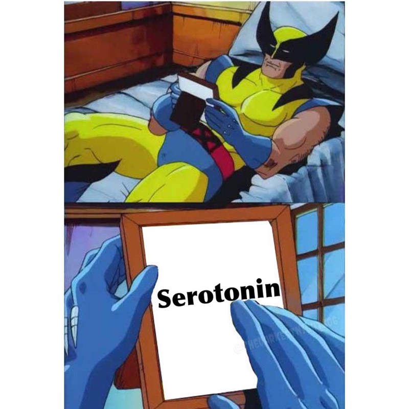 wolverine meme - Serotonin