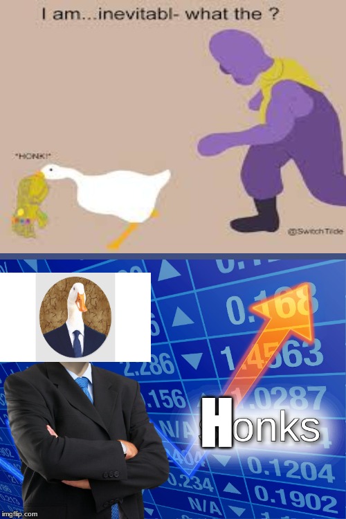 stonks memes - I am...inevitabl what the ? Honki Swachide U. A 0.08 ..286 1 4763 1.15610287 Wo Honks 0.1204 234 0.1902 Nia imgflip.com