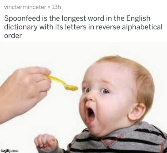 hungry baby - vincterminceter. 13h Spoonfeed is the longest word in the English dictionary with its letters in reverse alphabetical order imgflip.com