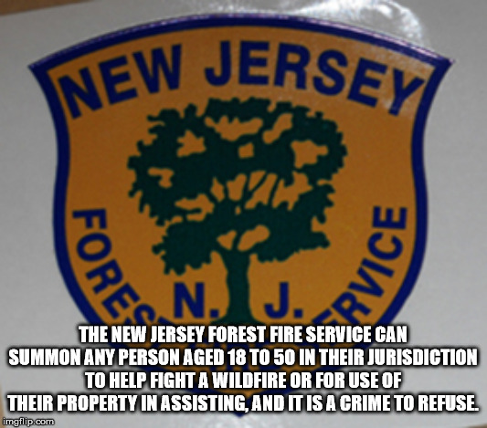 label - Inew Jersey The New Jersey Forest Fire Service Can Summon Any Person Aged 18 To 50 In Their Jurisdiction To Help Fight A Wildfire Or For Use Of Their Property In Assisting, And It Is A Crime To Refuse, imgflip.com