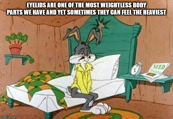 looney tunes waking up - Eyelids Are One Of The Most Weightless Body Parts We Have And Yet Sometimes They Can Feel The Heaviest Seed imgflip.com