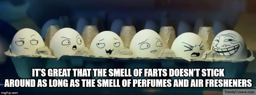 It'S Great That The Smell Of Farts Doesn'T Stick Around As Long As The Smell Of Perfumes And Air Fresheners imgflip.com TrendyCovers.com