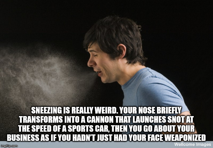 successful black man meme - Sneezing Is Really Weird. Your Nose Briefly Transforms Into A Cannon That Launches Snot At The Speed Of A Sports Car, Then You Go About Your Business As If You Hadn'T Just Had Your Face Weaponized imgflip.com Wellcome Images