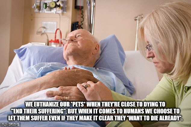 hospice patient - We Euthanize Our Pets When They'Re Close To Dying To "End Their Suffering", But When It Comes To Humans We Choose To Let Them Suffer Even If They Make It Clear They Want To Die Already. imgflip.com
