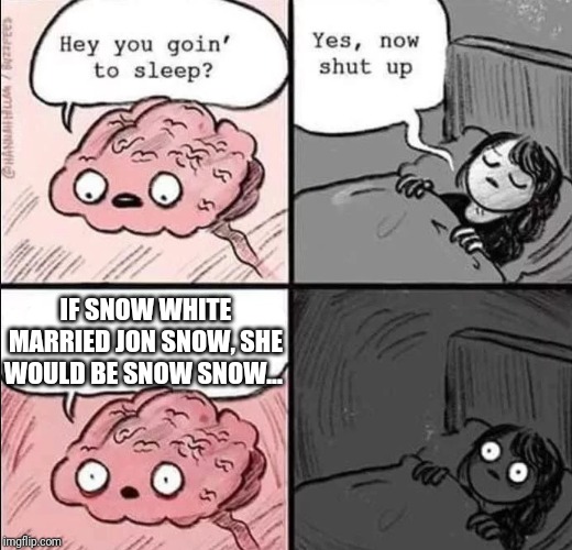 reddit memes - Ife Hey you goin' to sleep? Yes, now shut up L 355 If Snow White Married Jon Snow, She Would Be Snow Snow. 16.03 Cb 5 Imgflip.com