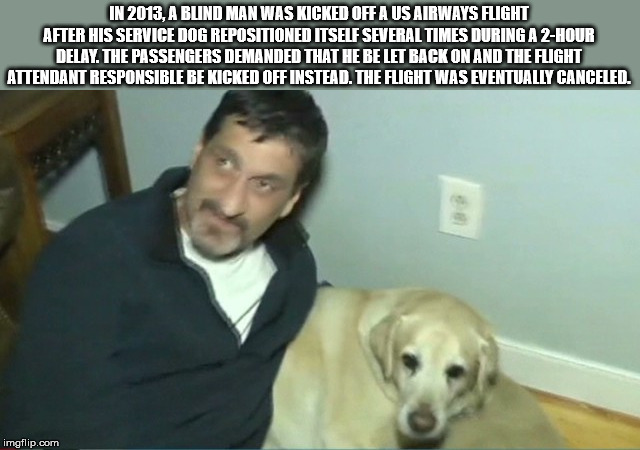 photo caption - In 2013, A Blind Man Was Kicked Off A Us Airways Flight After His Service Dog Repositioned Itself Several Times During A 2Hour Delay The Passengers Demanded That He Be Let Back On And The Fight Attendant Responsible Be Kicked Off Instead. 