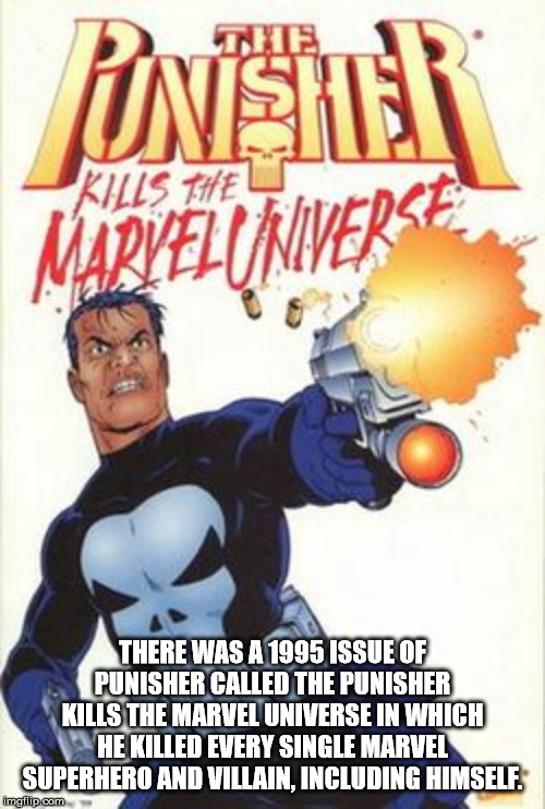 punisher kills the marvel universe - Peror Kills They Mapvelinvercel There Was A 1995 Issue Of Punisher Called The Punisher Kills The Marvel Universe In Which He Killed Every Single Marvel Superhero And Villain, Including Himself imgflip.com