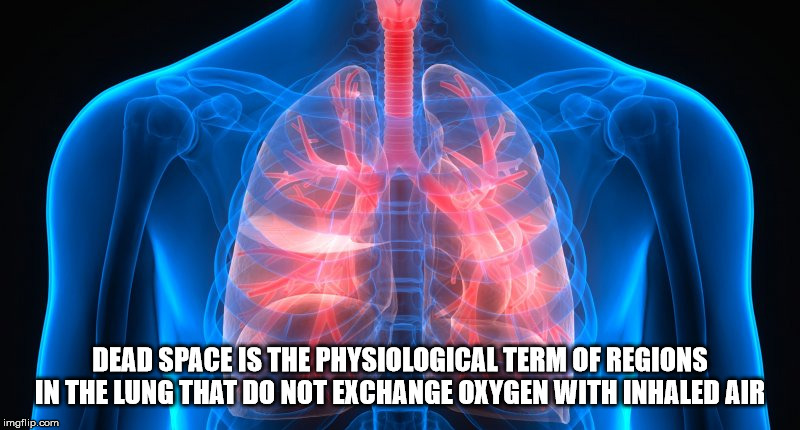 what is dead space of lungs