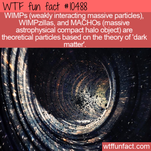 dark matter - Wtf fun fact WIMPs weakly interacting massive particles, WIMPzillas, and MACHOs massive astrophysical compact halo object are theoretical particles based on the theory of 'dark matter. wtffunfact.com