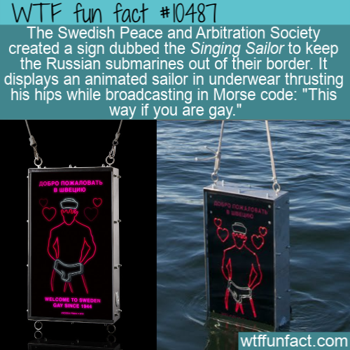 water - Wtf fun fact The Swedish Peace and Arbitration Society created a sign dubbed the Singing Sailor to keep the Russian submarines out of their border. It displays an animated sailor in underwear thrusting his hps while broadcasting in Morse code "Thi