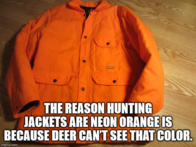 purina certified expert dealer - The Reason Hunting Jackets Are Neon Orange Is Because Deer Can'T See That Color. imgflip.com