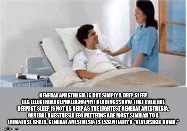 you ve been in a coma meme - Marshall General Anesthesia Is Not Simply A Deep Sleep Eeg Electroencephalography Readingsshow That Even The Deepest Sleep Is Not As Deep As The Lightest General Anesthesia. General Anesthesia Eeg Patterns Are Most Similar To 