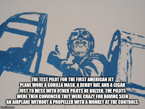 poster - The Test Pilot For The First American Jet Plane Wore A Gorilla Mask, A Derby Hat, And A Cigar Just To Mess With Other Pilots He Buzzed. The Pilots Were Then Convinced They Were Crazy For Having Seen An Airplane Without A Propeller With A Monkey A