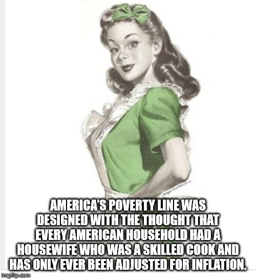 dishwasher sandwich maker meme - America'S Poverty Line Was Designed With The Thought That Every American Household Hada Housewife Who Was Askilled Cook And Has Only Ever Been Adjusted For Inflation. imgflip.com